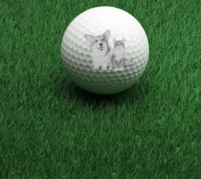 Fun Pet Themed Golf Ball Stamp for Dog and Cat Lovers